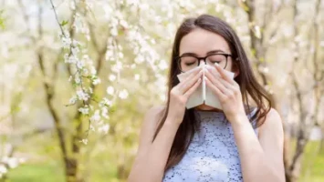 Les huiles essentielles contre l’allergie au pollen