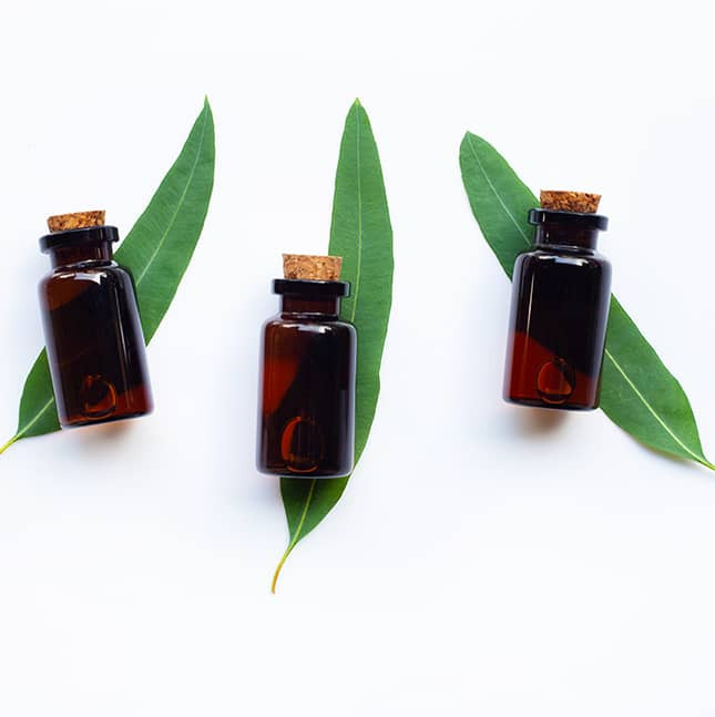 huile essentielle d’eucalyptus citronné