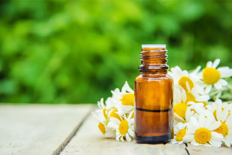 l’huile essentielle de camomille romaine contre l’allergie au pollen