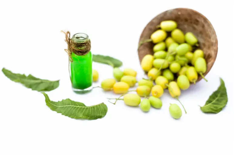 huile-neem-precautions-emploi